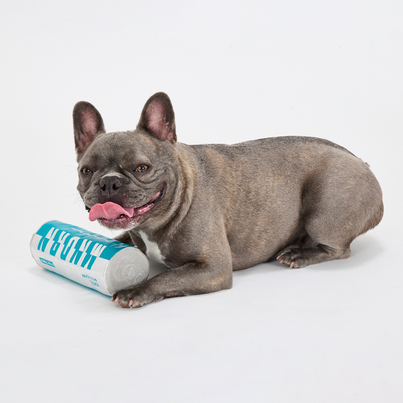 ICY PET PILLOW
