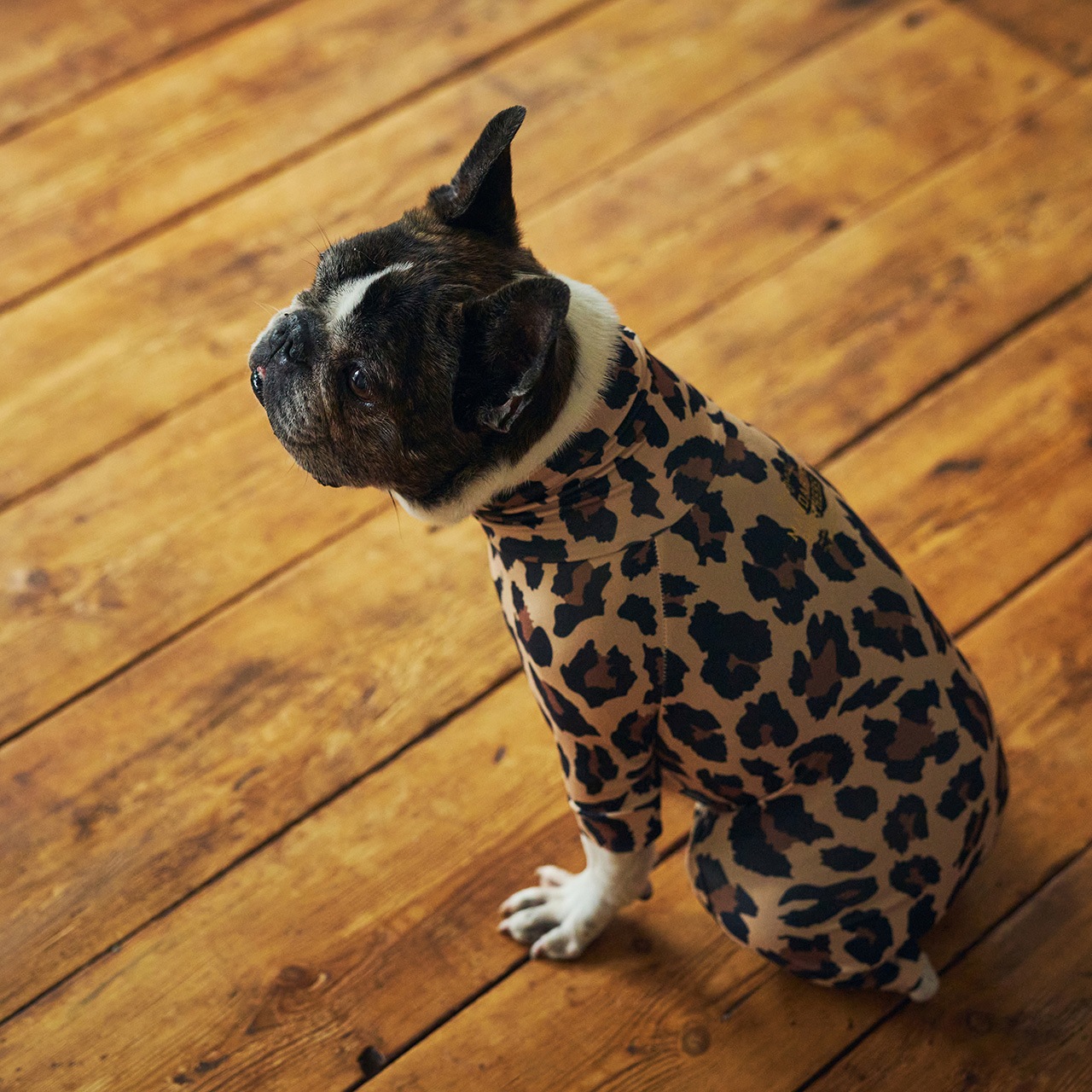 SKIN TIGHT SUIT MULTI PRINT