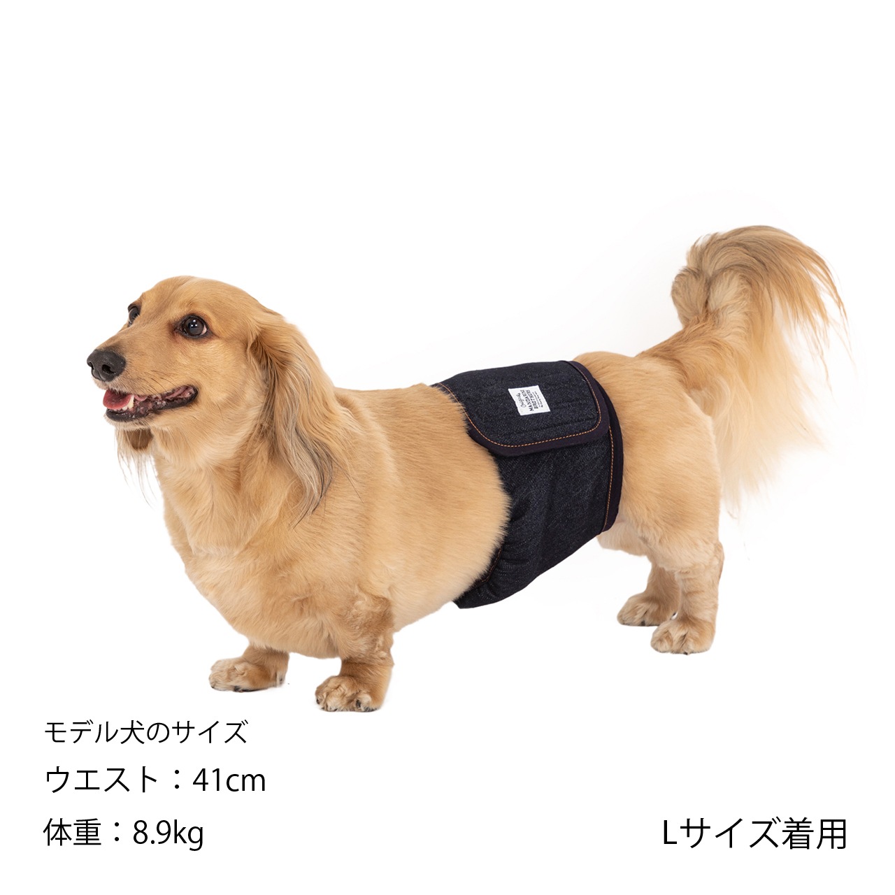 子犬用お迎えスターター9点セット　お洋服/キャリーバッグ/エリカラ/マナーベルト MANNER BELT | ACCESSARY,MANNER ITEM | 犬服 MANDARINE BROTHERS