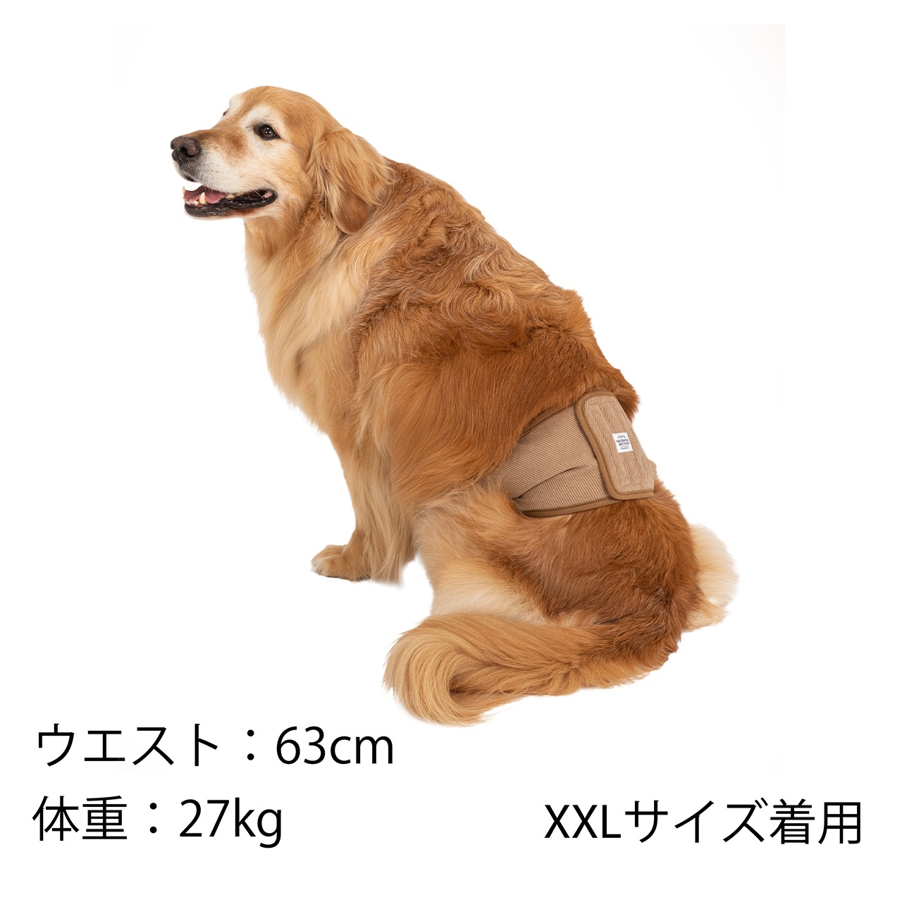 MANNER BELT | ACCESSARY,MANNER ITEM | 犬服 MANDARINE BROTHERS
