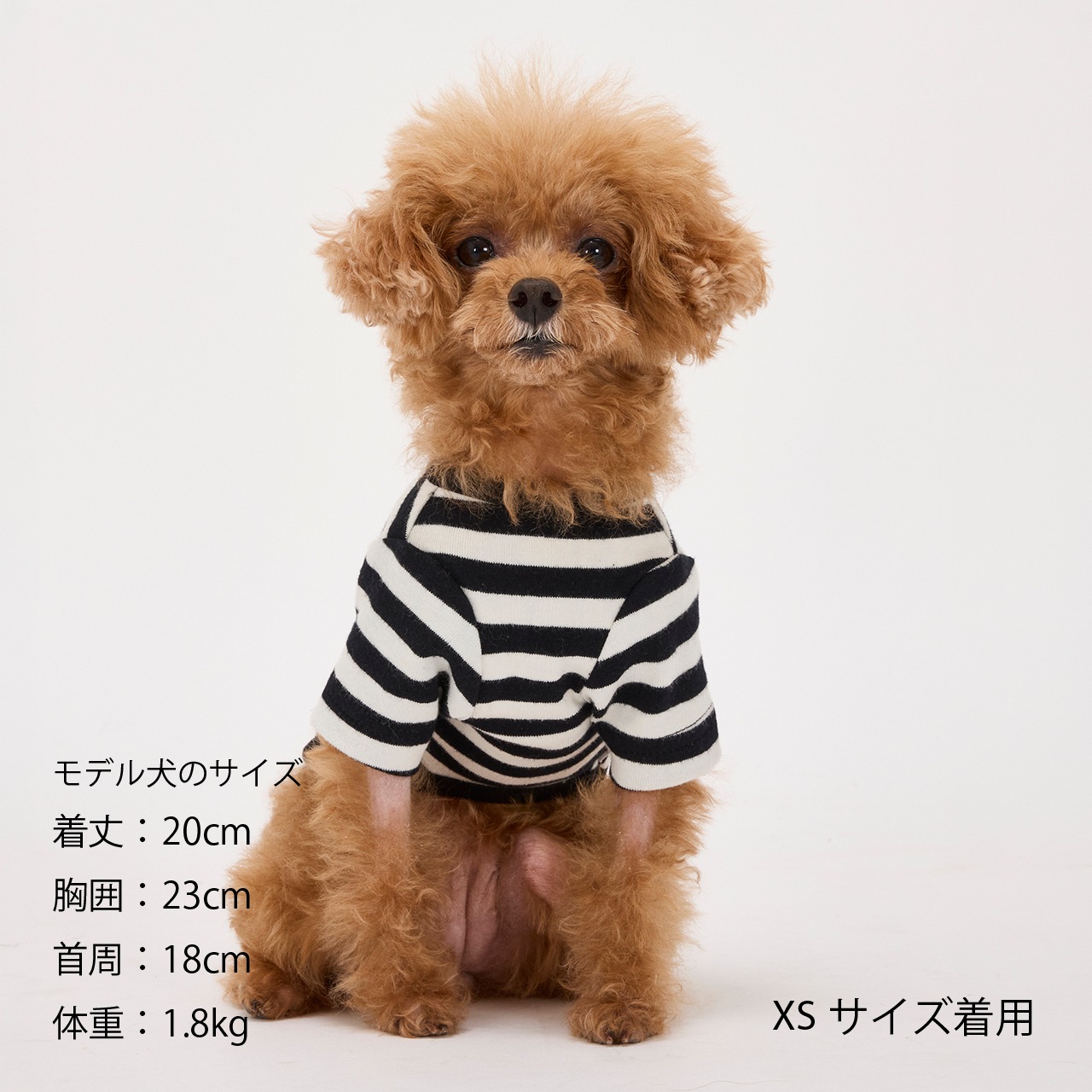 BORDER T-SHIRT