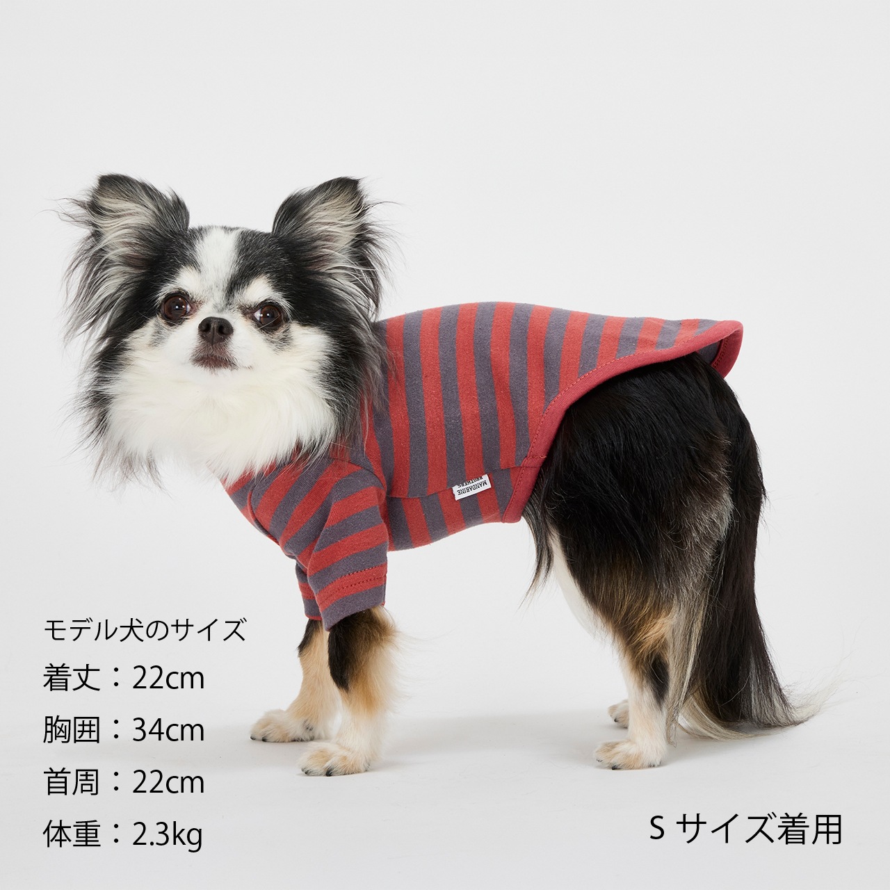 BORDER T-SHIRT