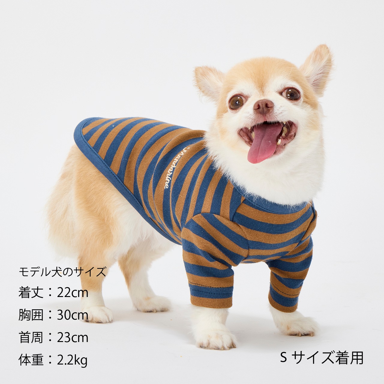 BORDER T-SHIRT