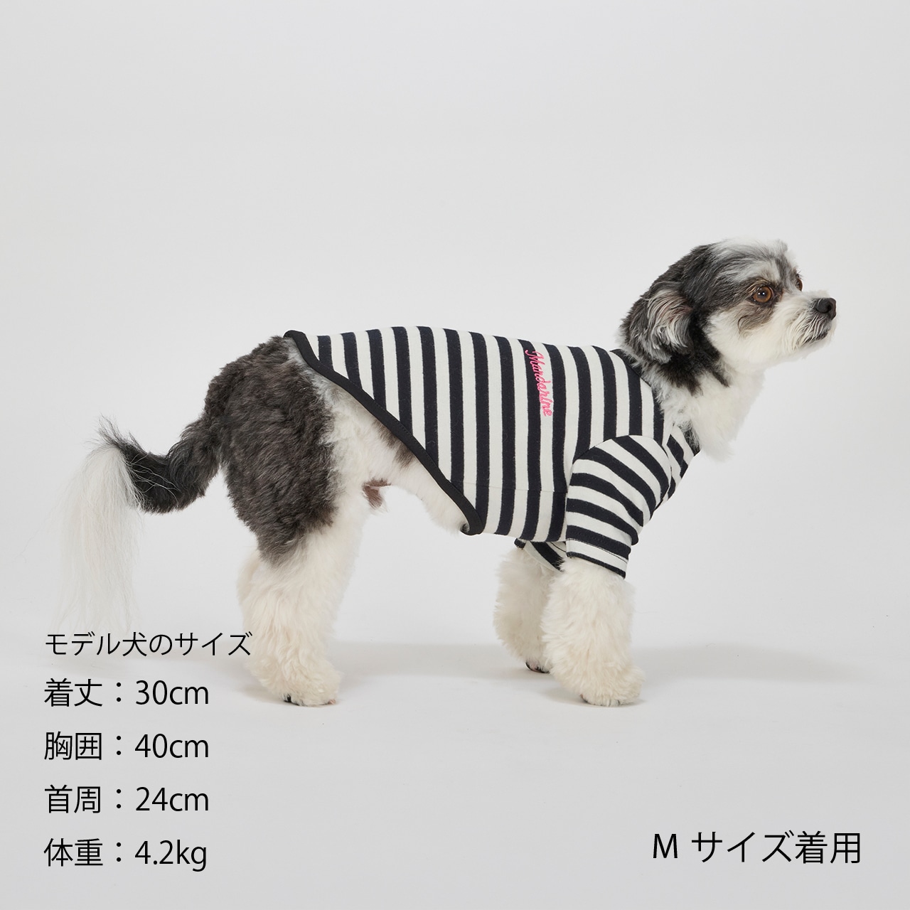 BORDER T-SHIRT