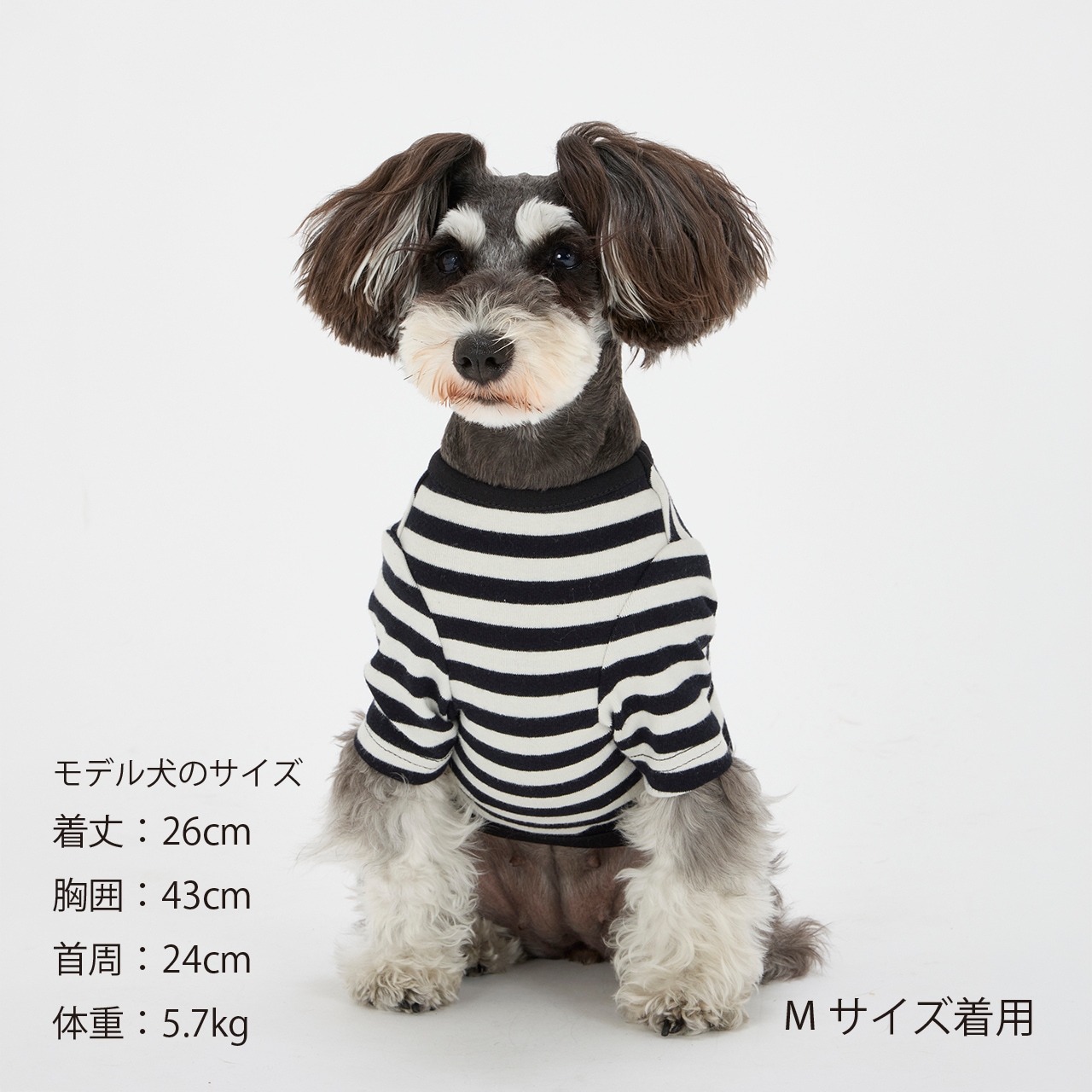 BORDER T-SHIRT