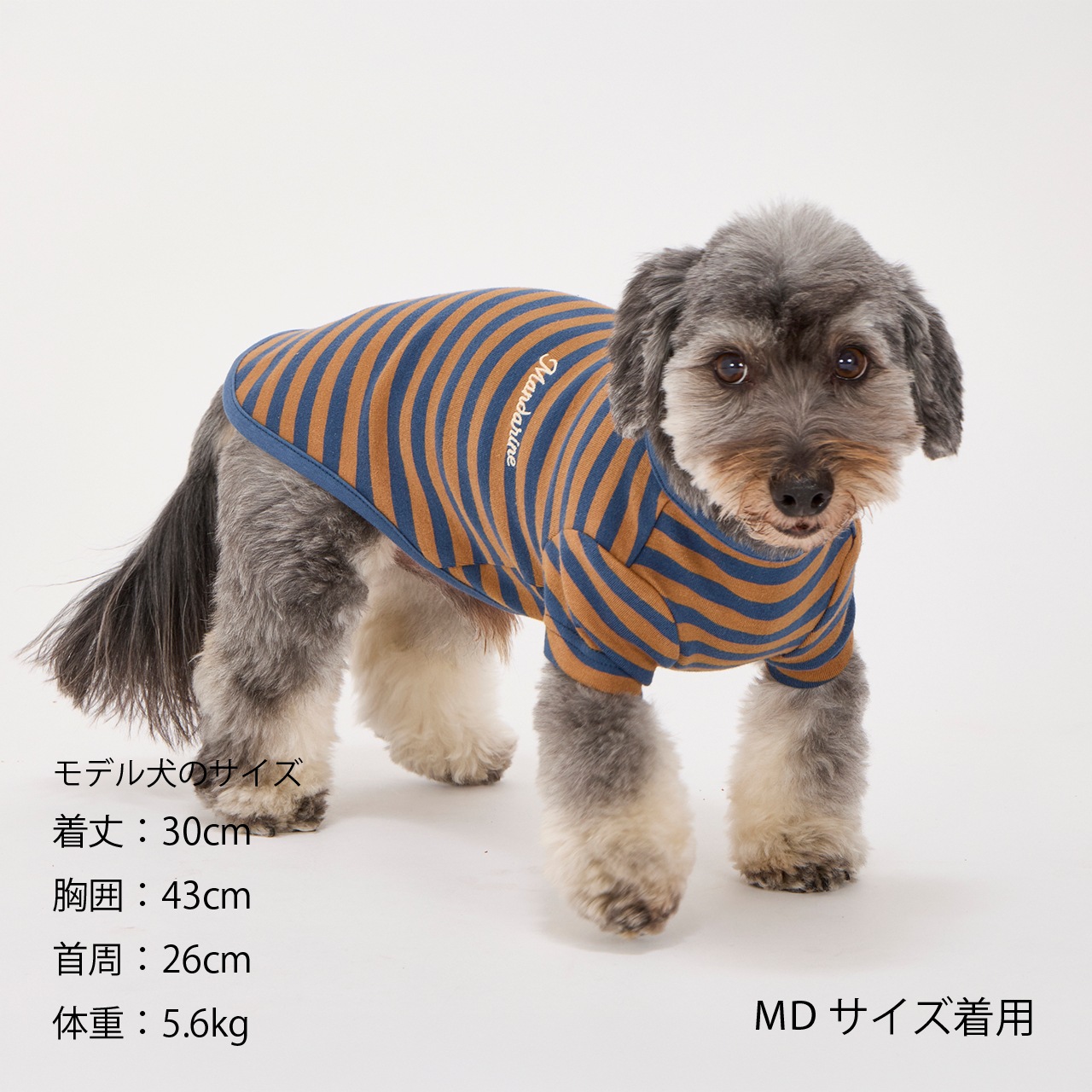 BORDER T-SHIRT