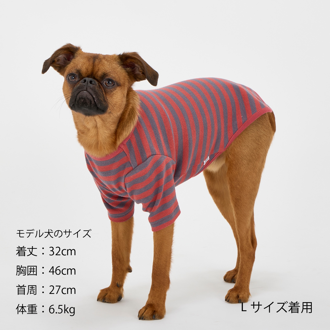 BORDER T-SHIRT
