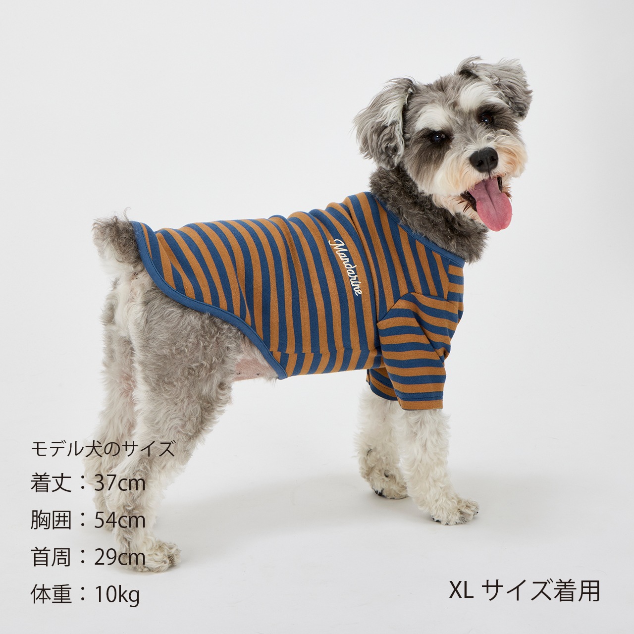 BORDER T-SHIRT