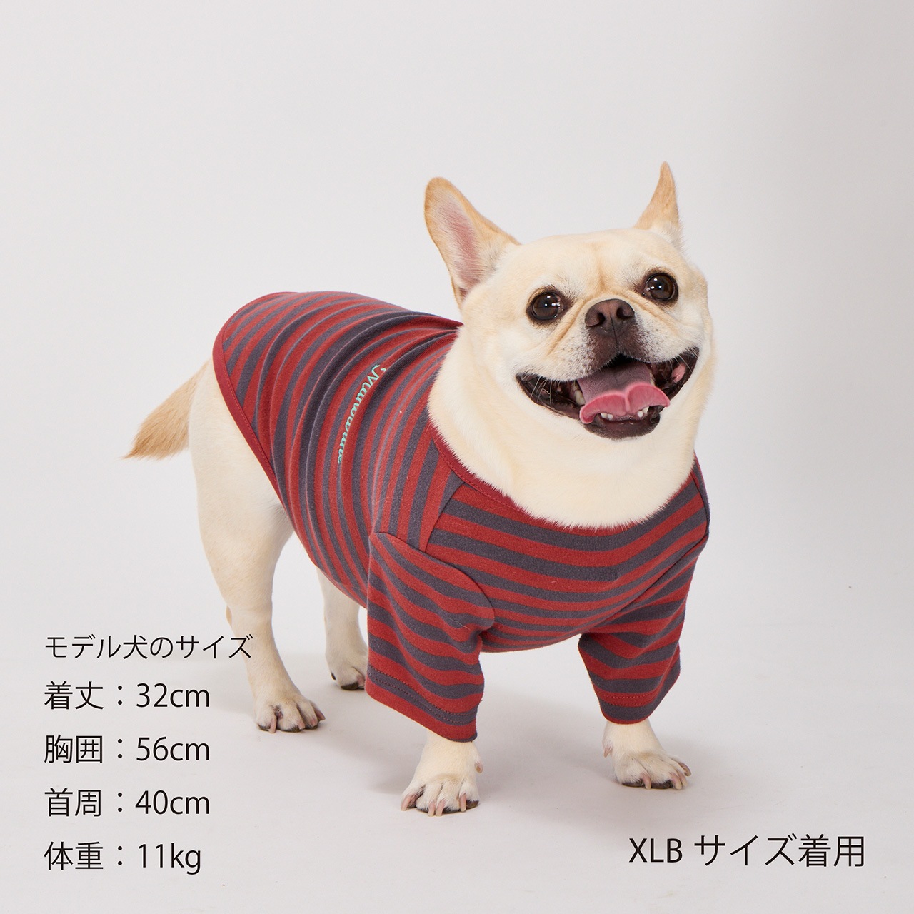 BORDER T-SHIRT