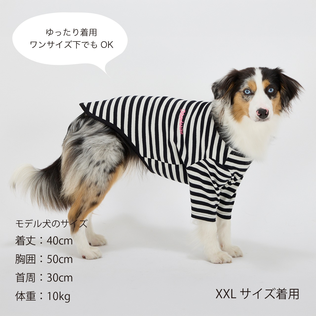 BORDER T-SHIRT
