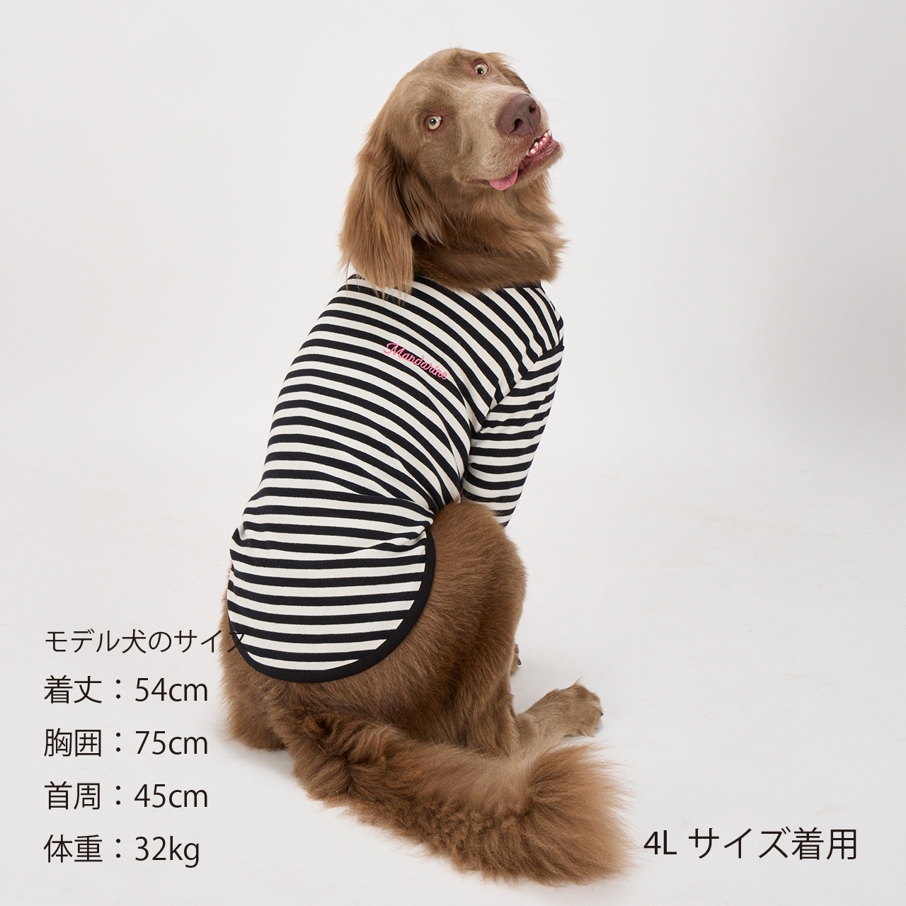 BORDER T-SHIRT