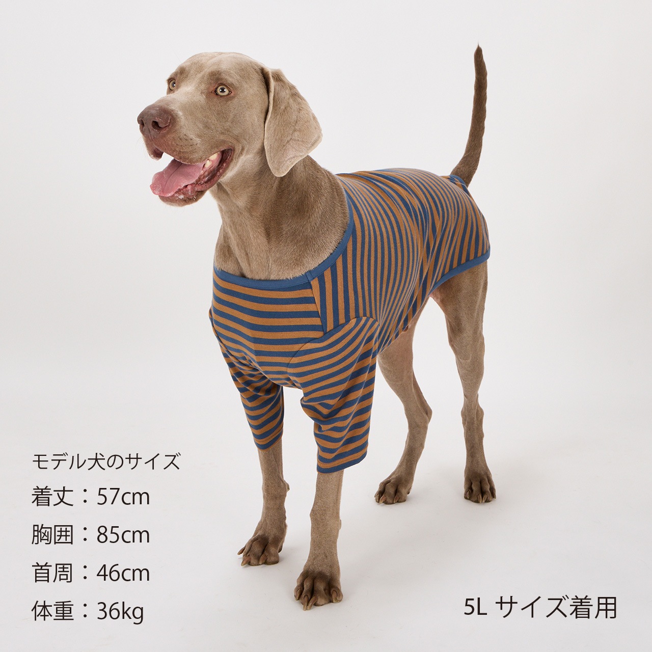 BORDER T-SHIRT