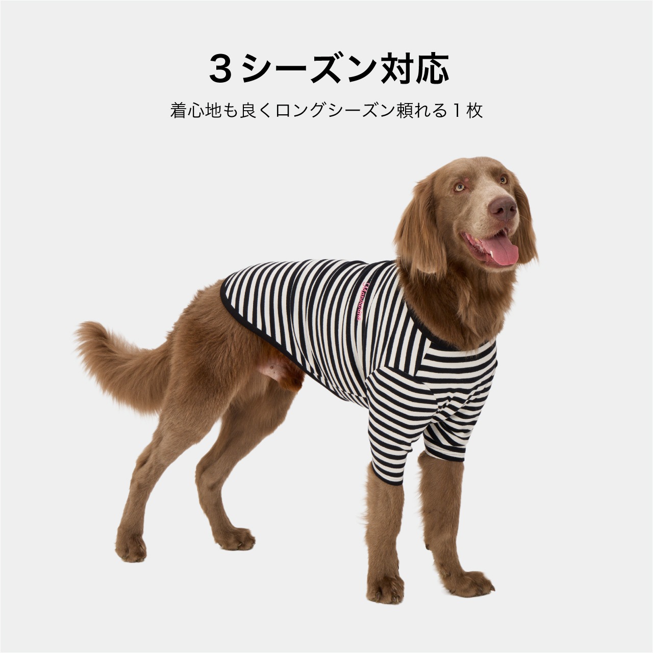BORDER T-SHIRT