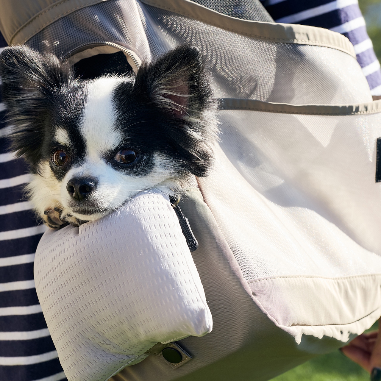 MESH SHOULDER BAG | CARRY BAG | 犬服 MANDARINE BROTHERS マンダリン