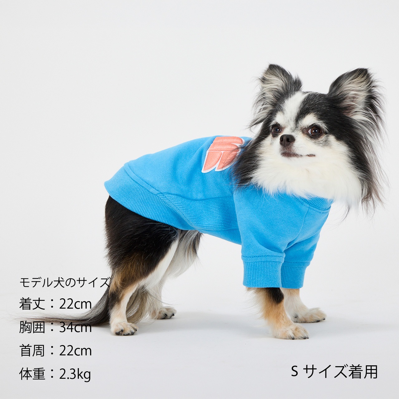 3D LOGO PATCH SWEAT