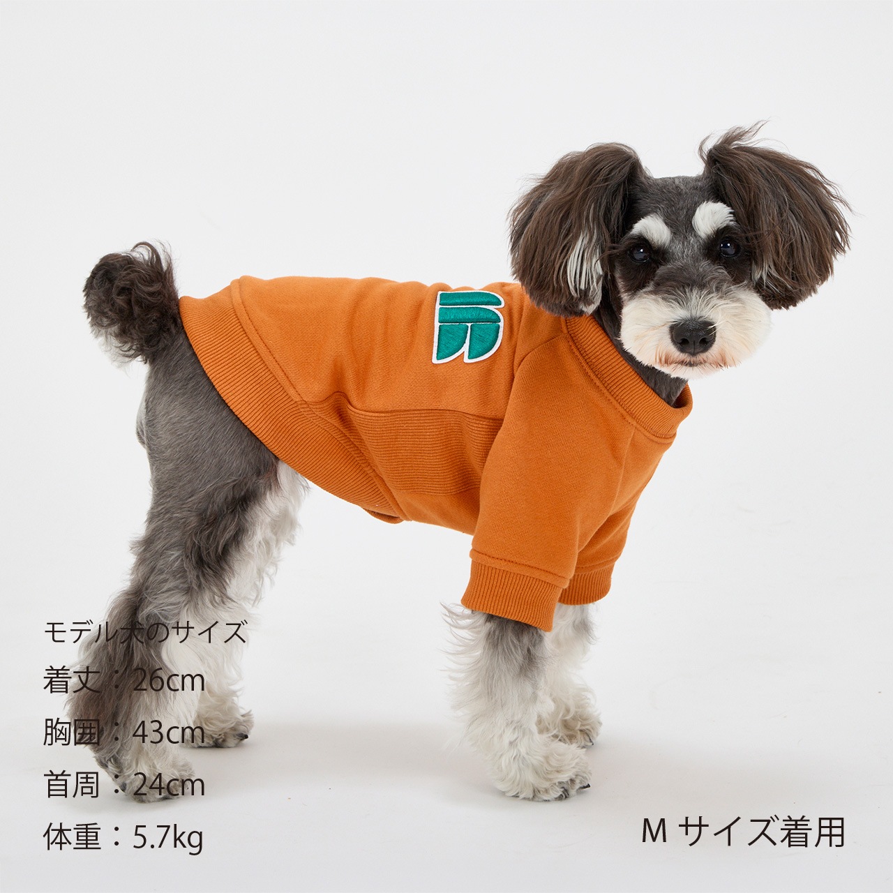 3D LOGO PATCH SWEAT