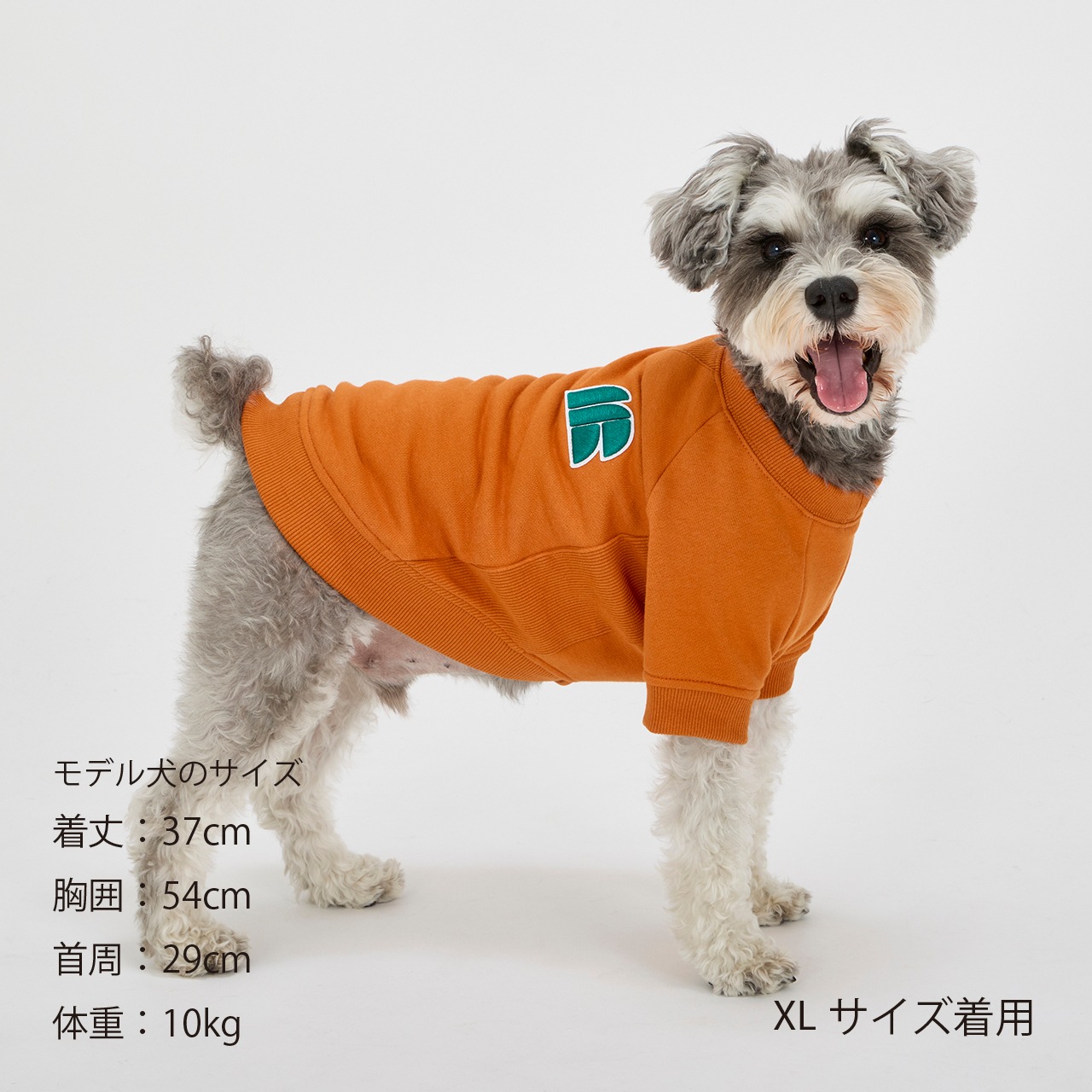 3D LOGO PATCH SWEAT