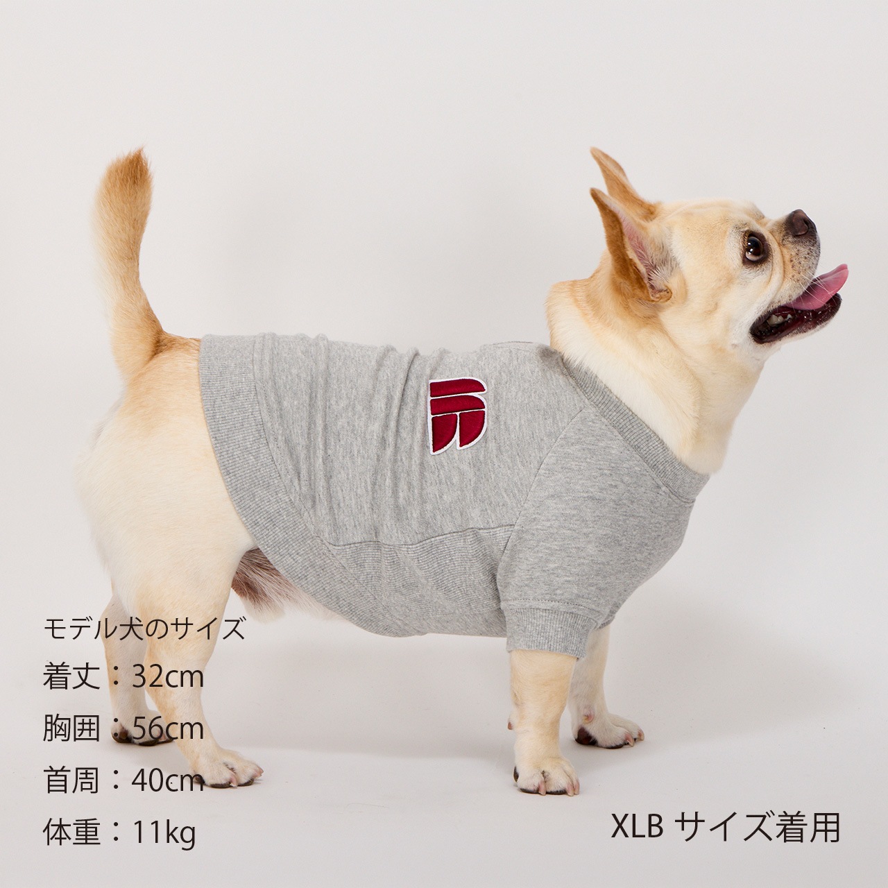 3D LOGO PATCH SWEAT