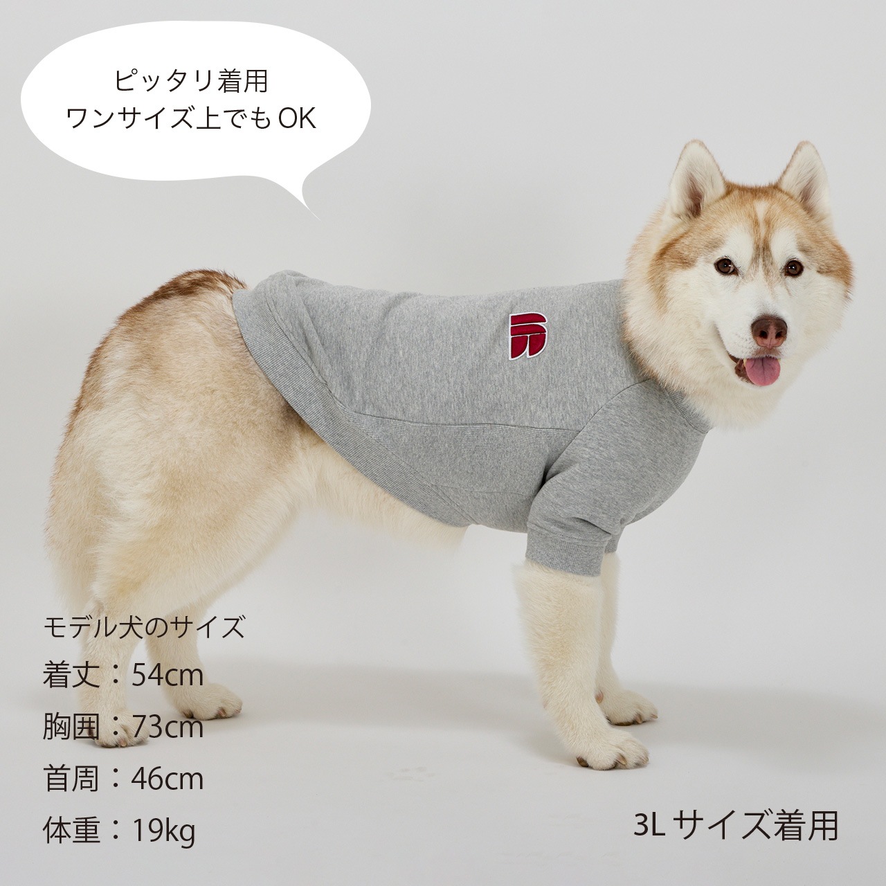 3D LOGO PATCH SWEAT