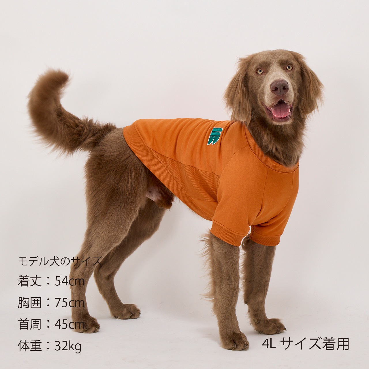 3D LOGO PATCH SWEAT