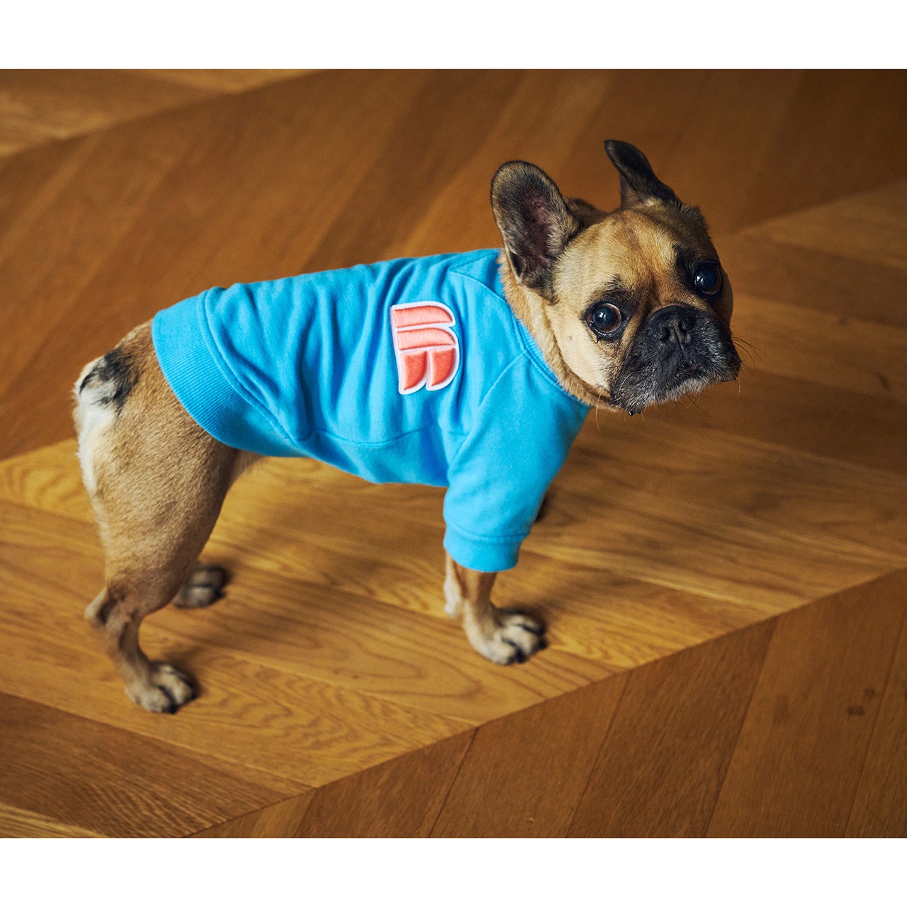 3D LOGO PATCH SWEAT