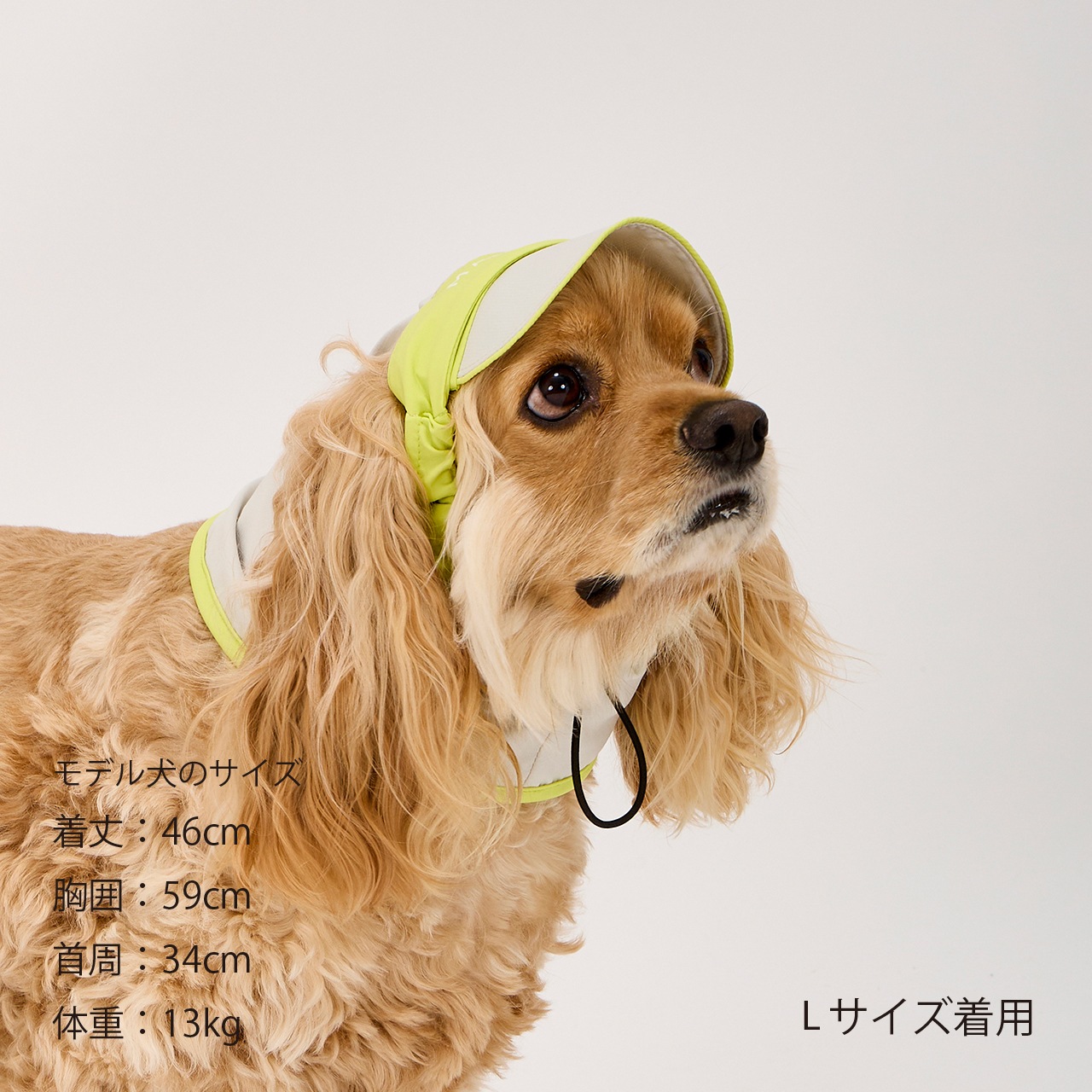 【NEW COLOR】UV PROTECTION SNOOD