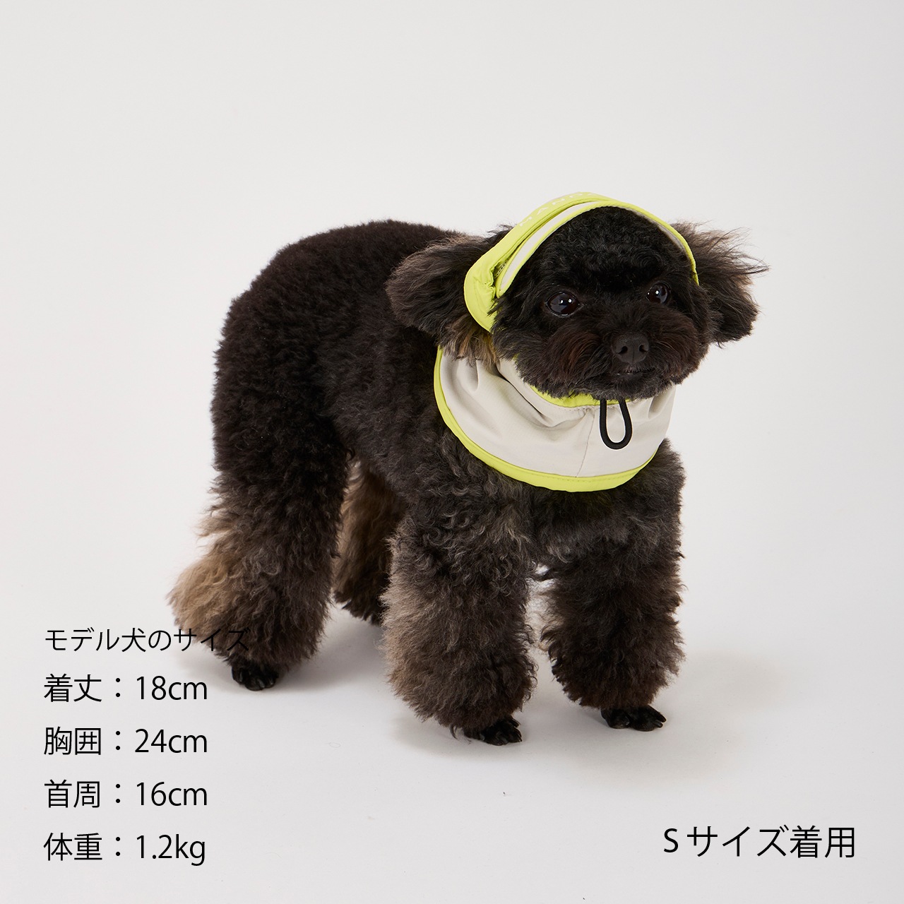 【NEW COLOR】UV PROTECTION SNOOD