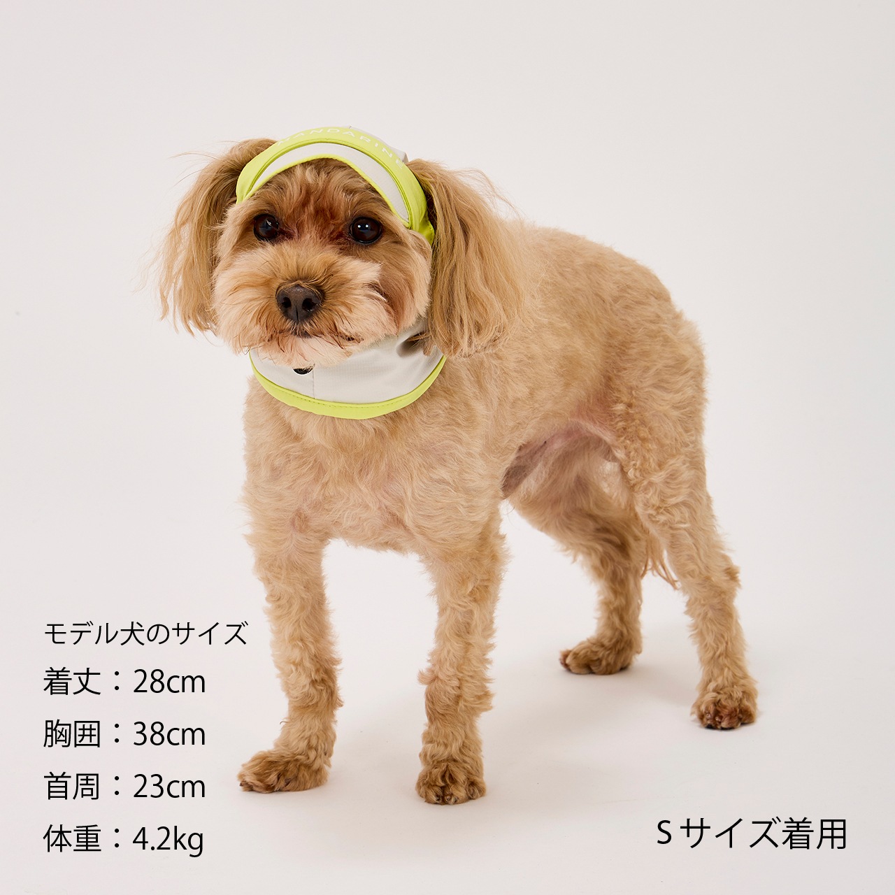【NEW COLOR】UV PROTECTION SNOOD