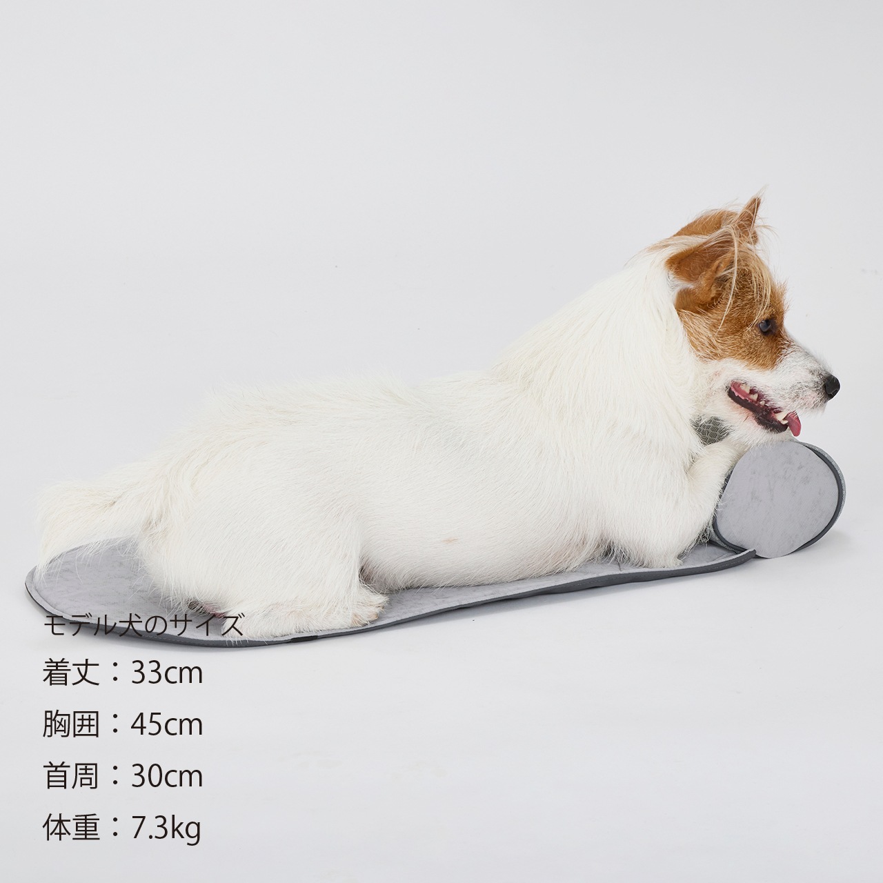 ICY COZY MINI MAT | BED＆MAT | 犬服 MANDARINE BROTHERS マンダリン