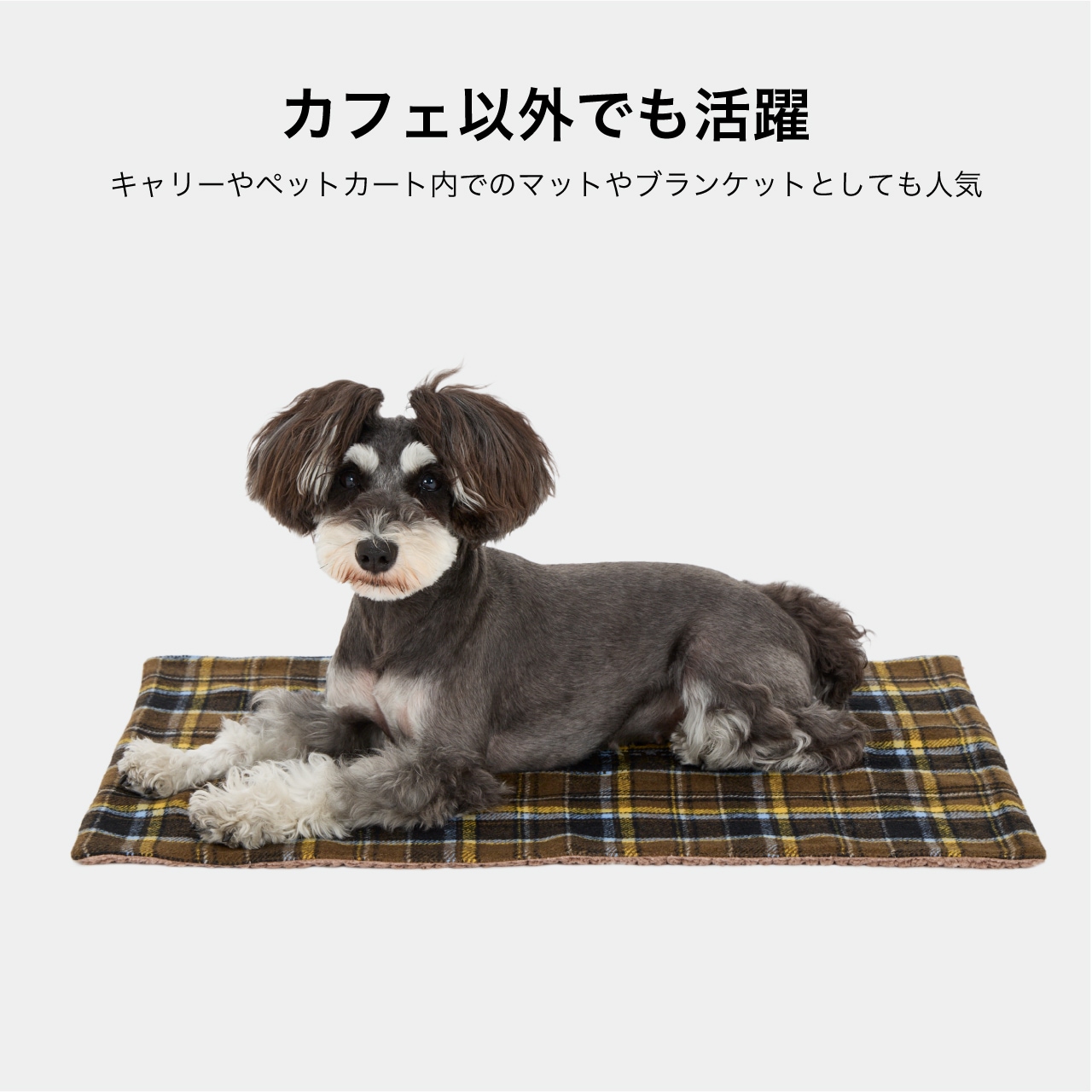 BOA CAFE MAT