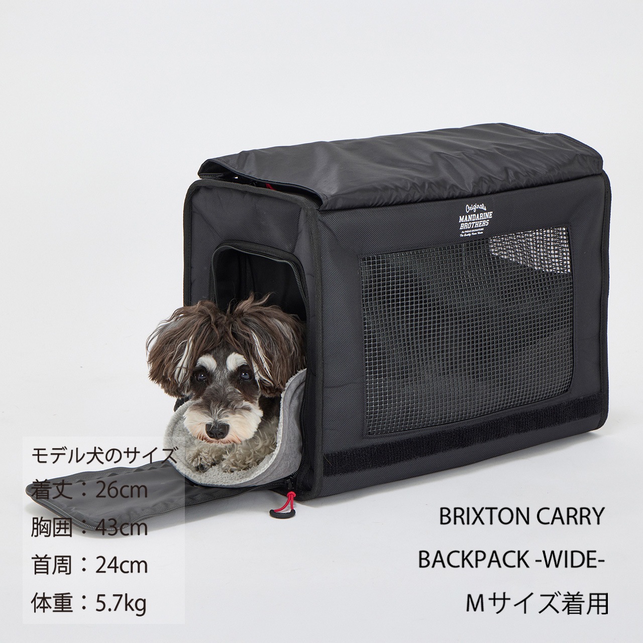 CARRY IN MAT