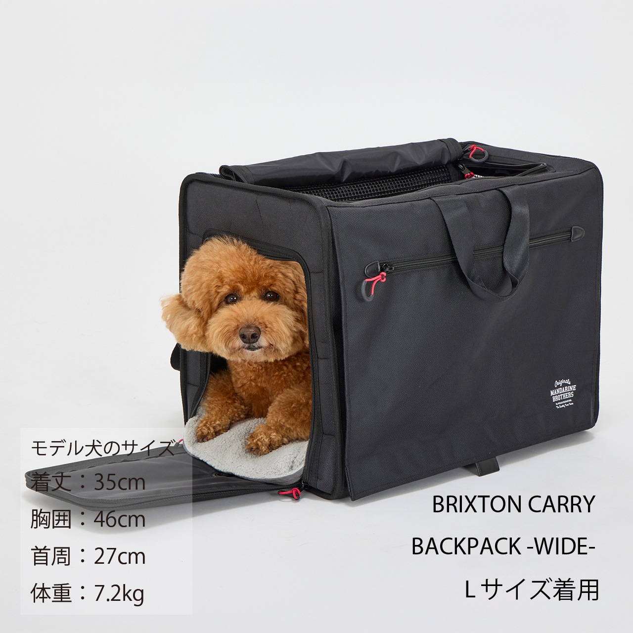 CARRY IN MAT