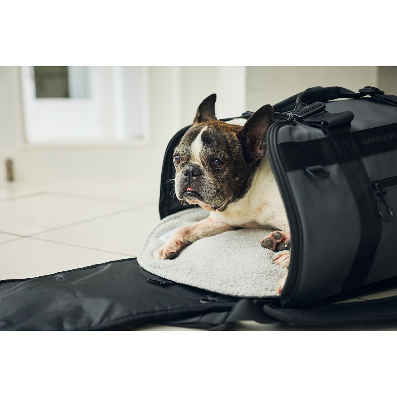 CARRY IN MAT