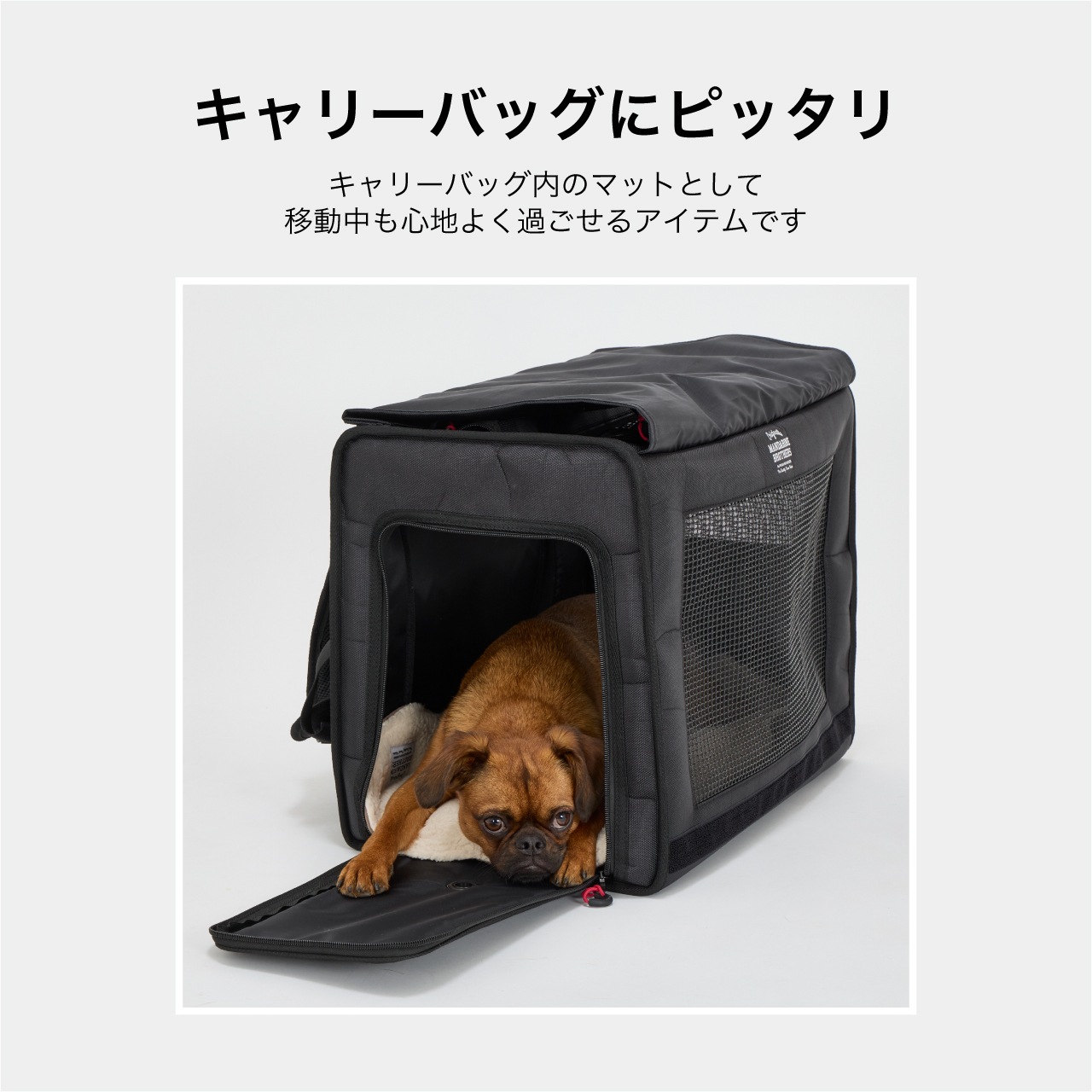 CARRY IN MAT