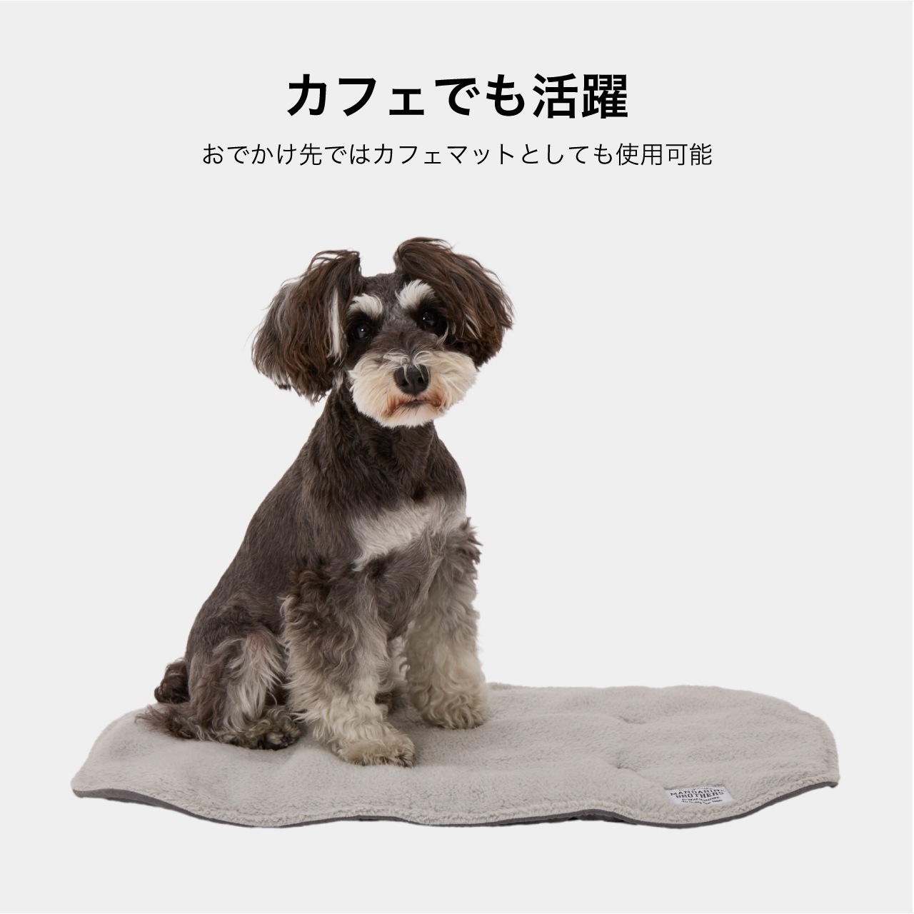 CARRY IN MAT
