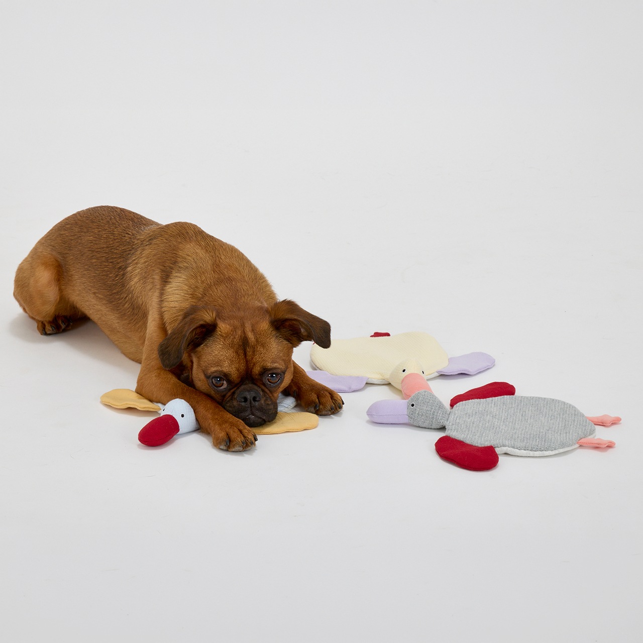 TENDER CARE FLAT PEGGY