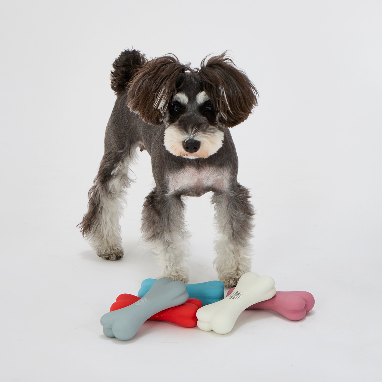 LATEX BONE TOY LARGE