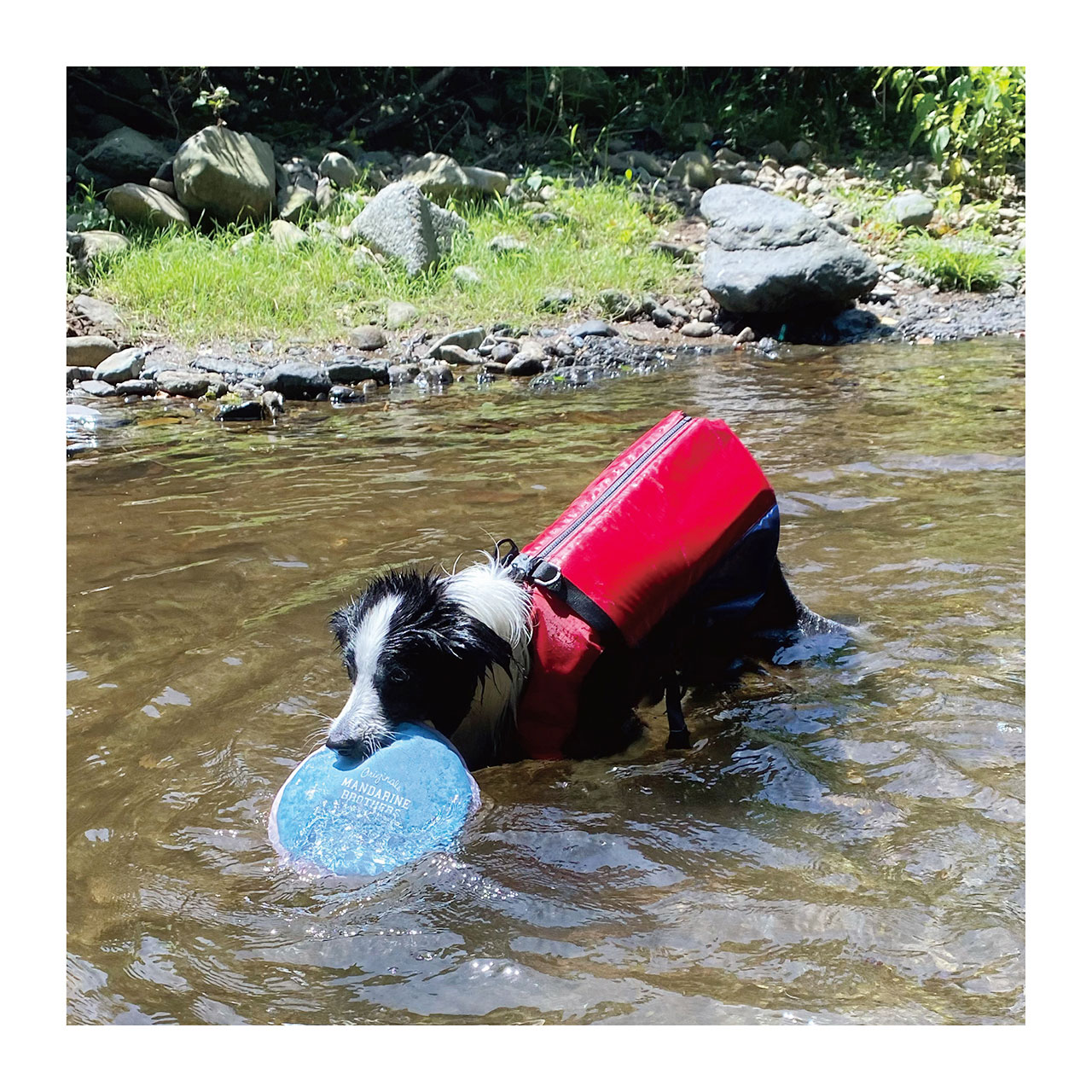 MB FLYING DISC TOY