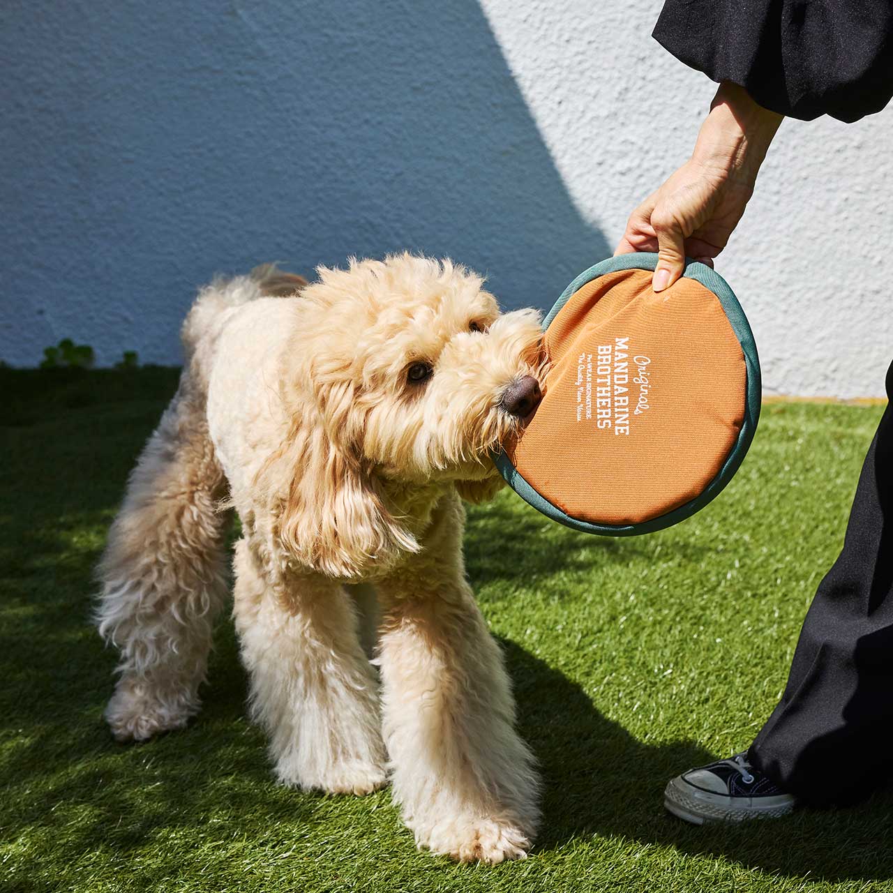 MB FLYING DISC TOY
