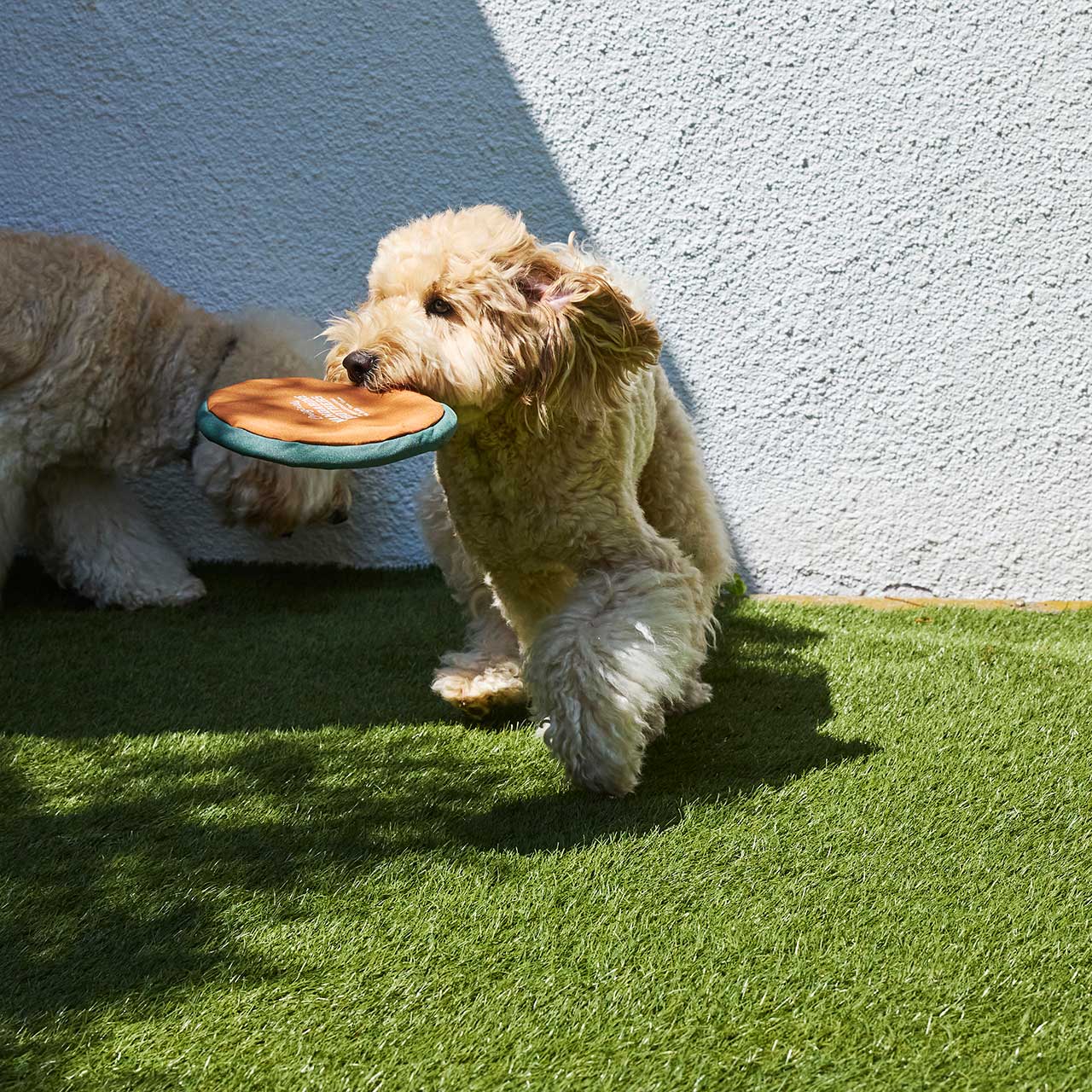 MB FLYING DISC TOY