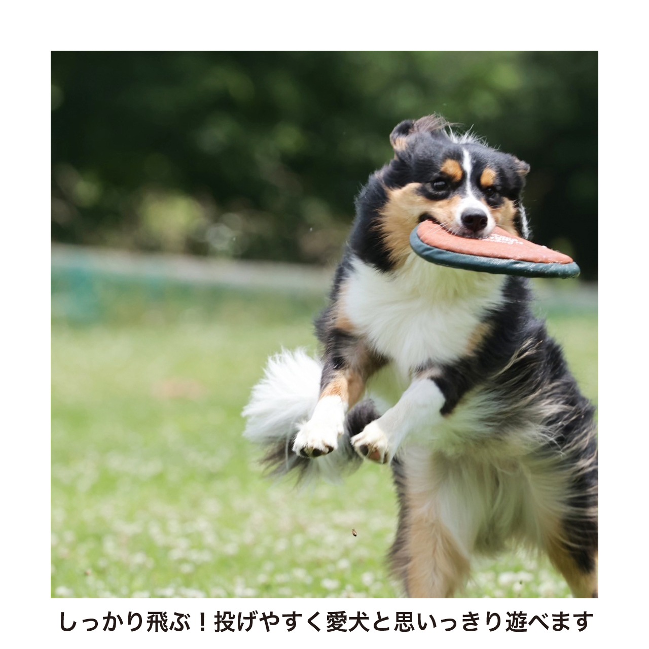 MB FLYING DISC TOY
