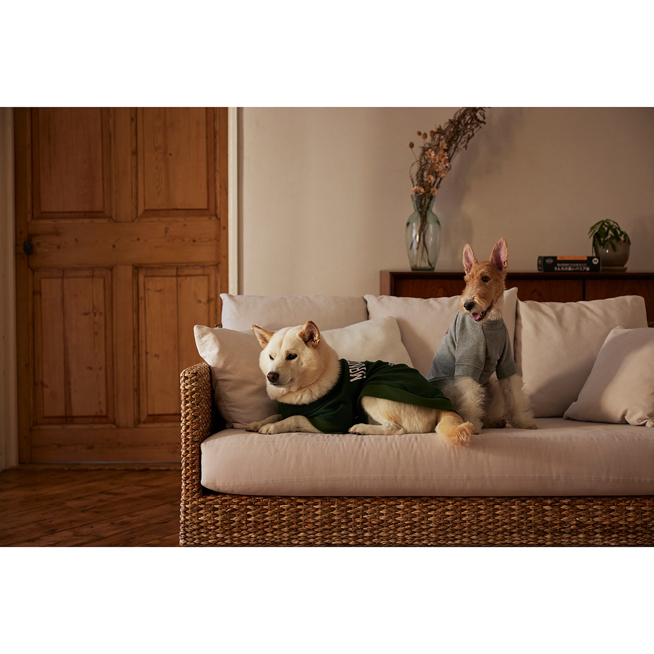 うんちの臭いバリア袋