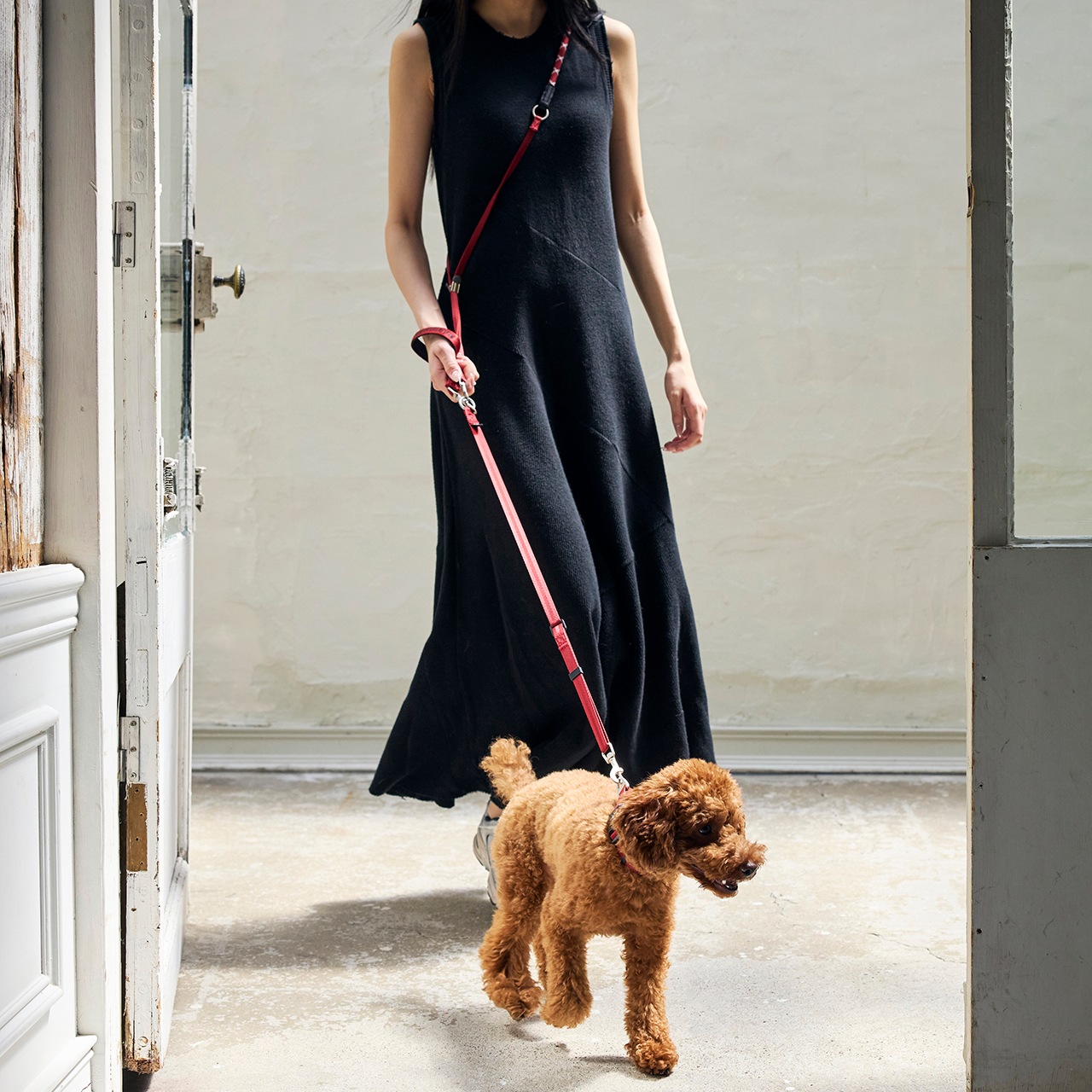 HANDS FREE LEASH