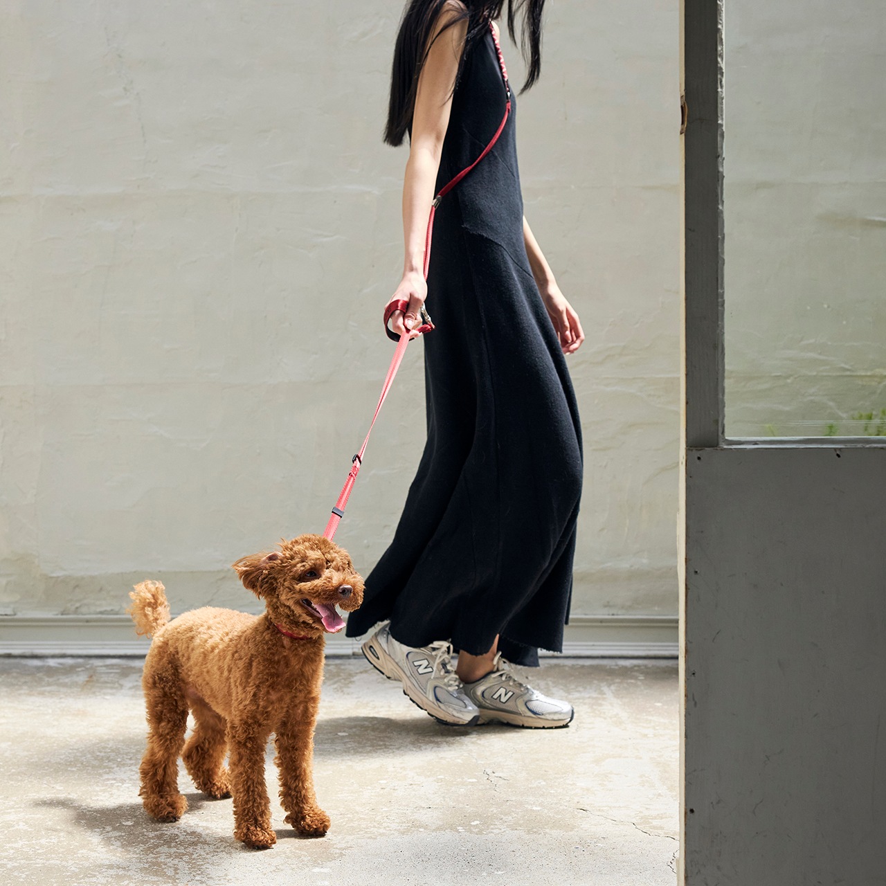 HANDS FREE LEASH