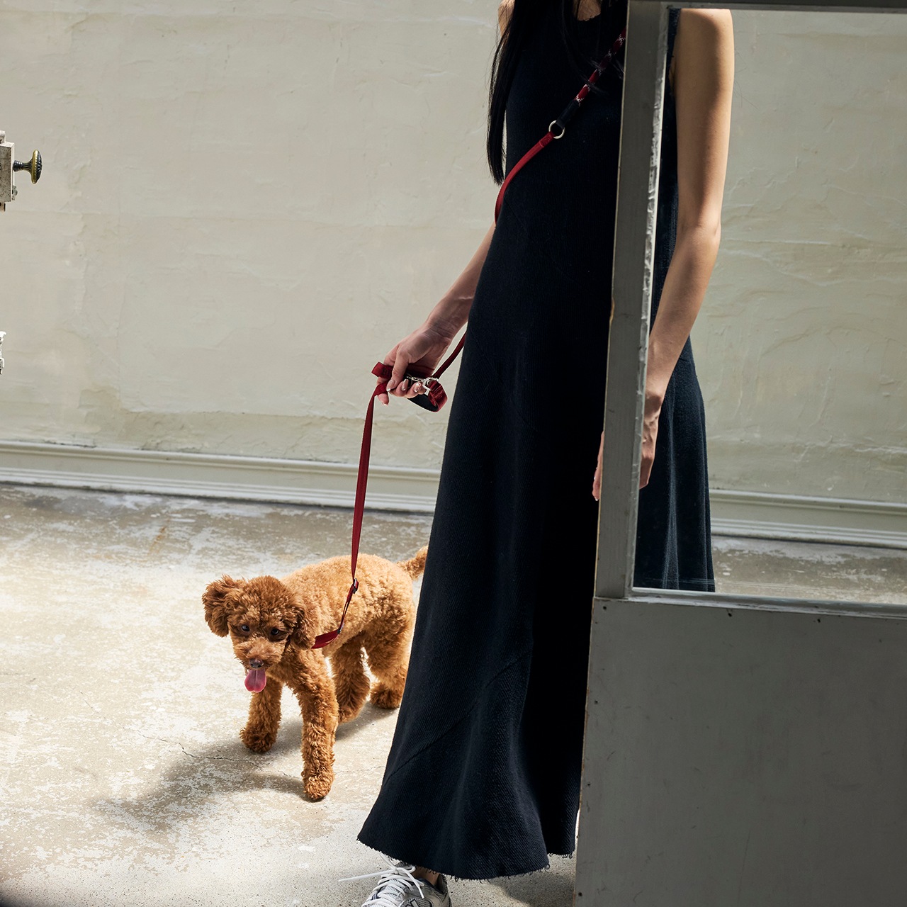 HANDS FREE LEASH