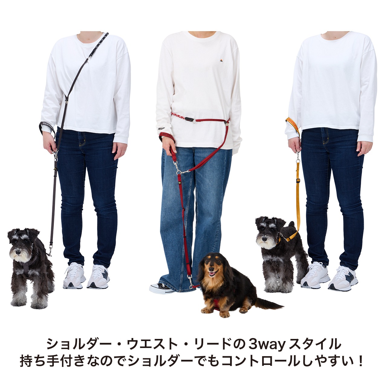 HANDS FREE LEASH