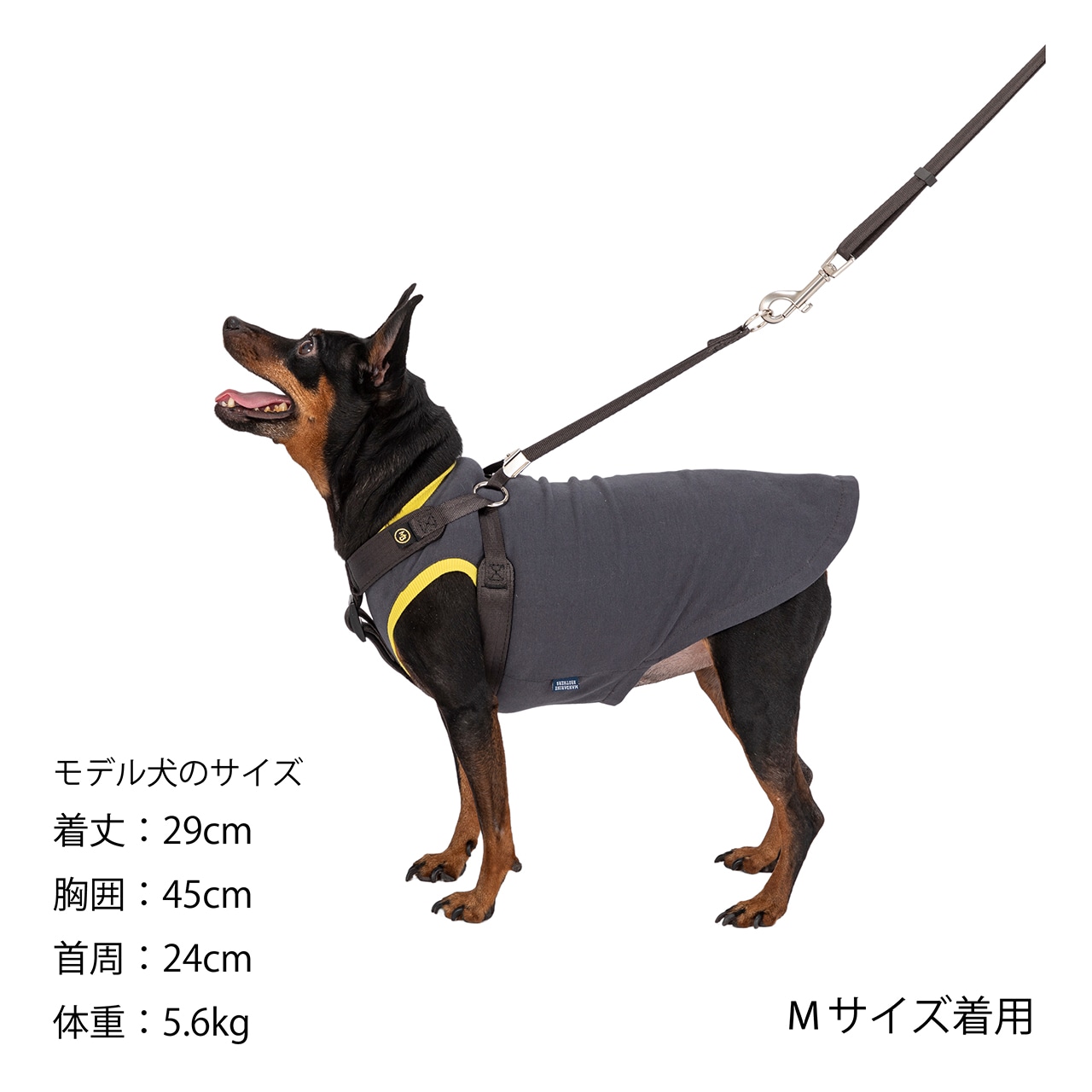 CLASSIC HARNESS（リニューアル）