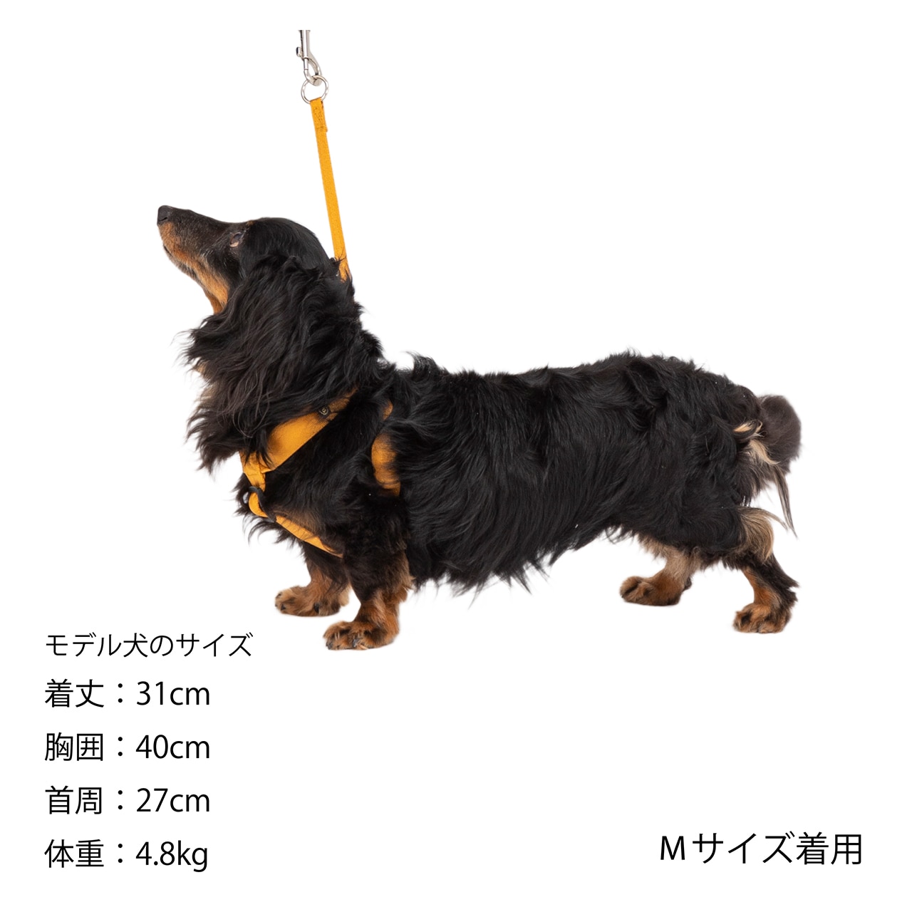 CLASSIC HARNESS（リニューアル）