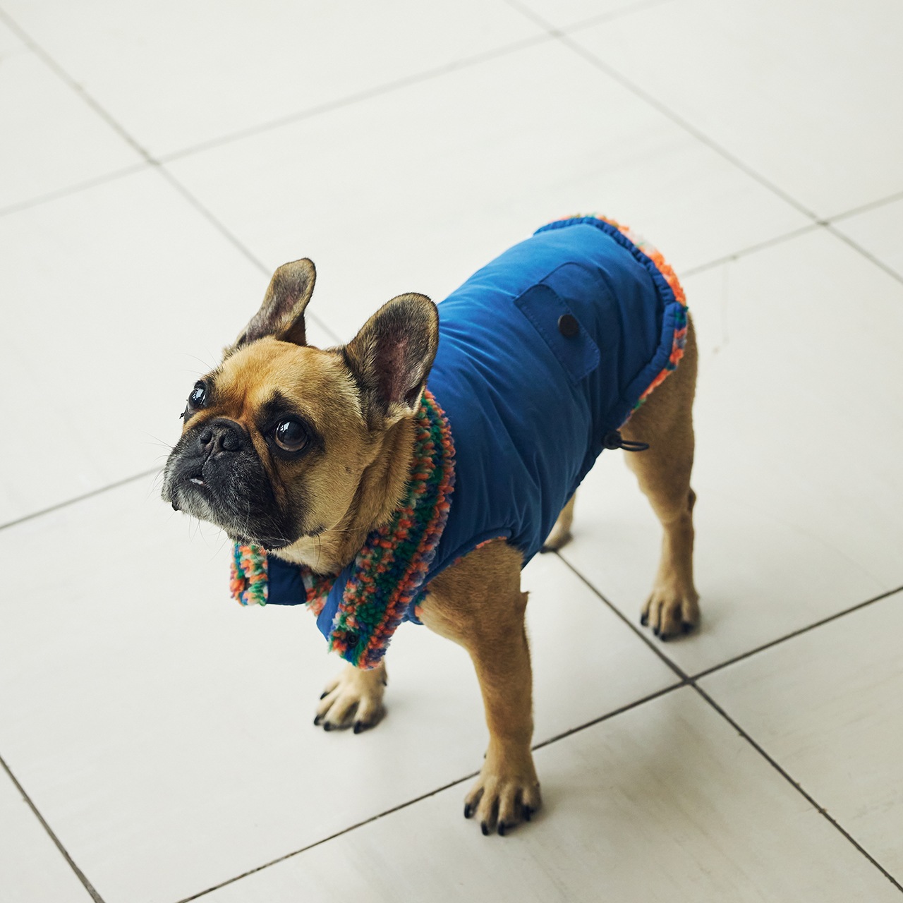 REVERSIBLE BOA VEST