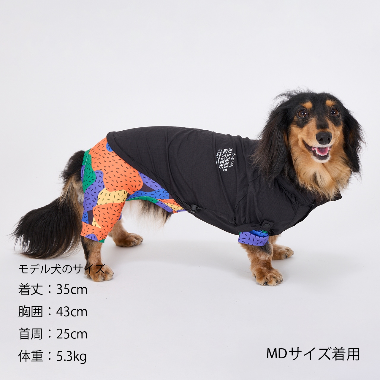 PIKARIN　MGサイズ WINDBREAKER | WEAR | 犬服 MANDARINE BROTHERS マンダリン